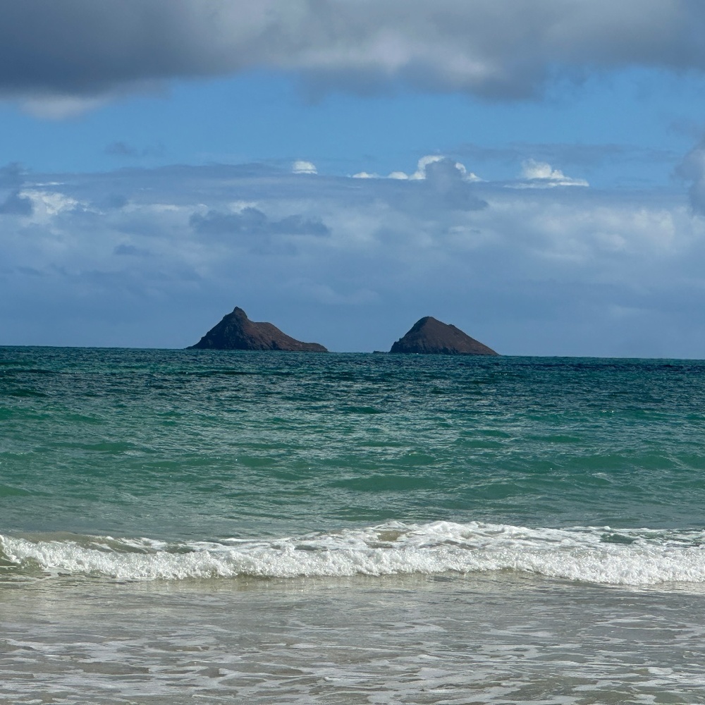 Meet your Posher Vintage Lux Resell